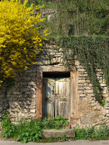 Tuer_mit_Blumen.jpg