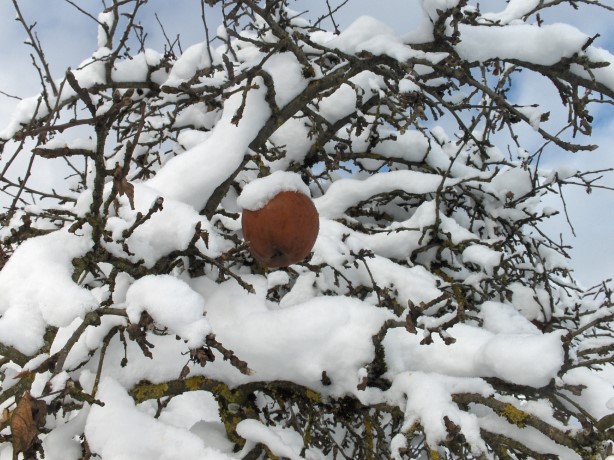 Winter-Impressionen_001.JPG