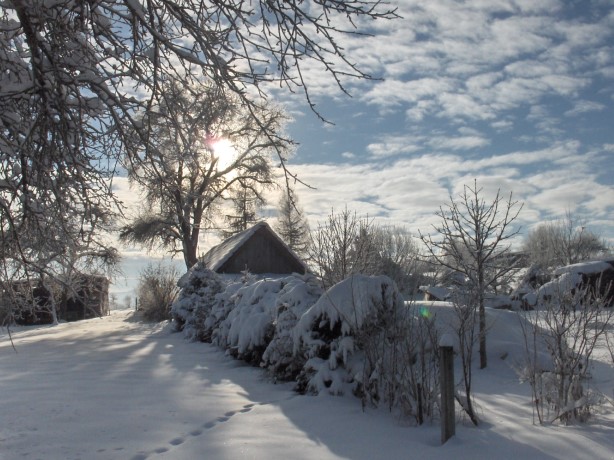 Winter-Impressionen_006.JPG