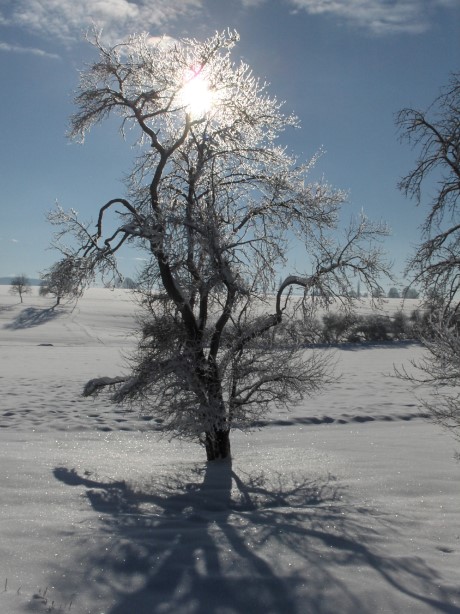 Winter-Impressionen_014.JPG