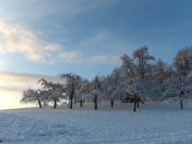 Winterlandschaft_001.jpg