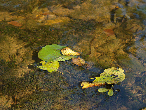 herbststimmung_001.jpg