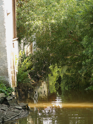 kanal_001.jpg