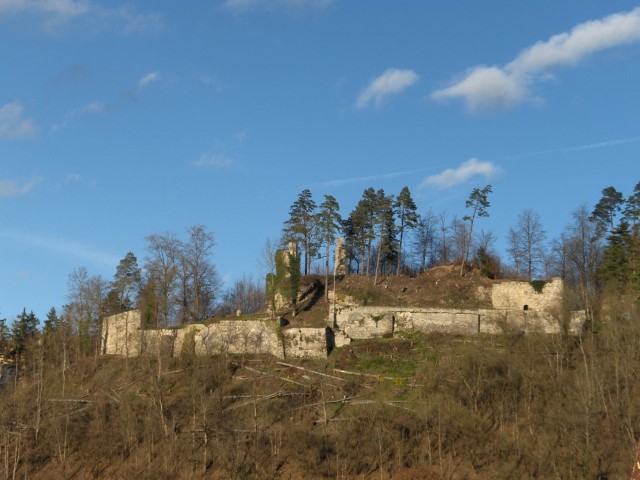 ruine_2010.jpg